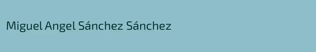 Miguel Angel Sánchez Sánchez